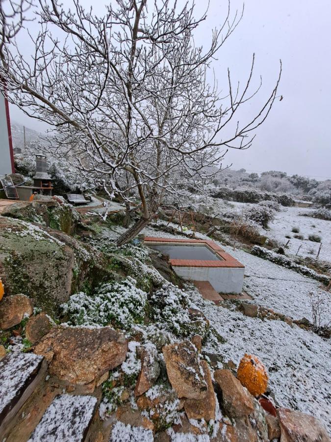 Casa Da Vizinha, Quinta Das Memorias Santo António das Areias エクステリア 写真